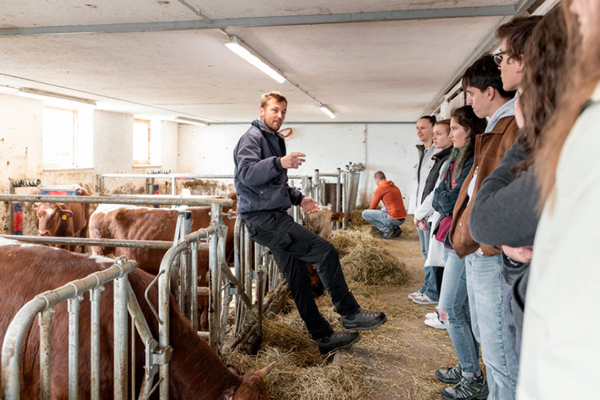 Lehrveranstaltung mit Thomas Zanon